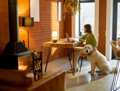 Best Apartment In Kansas City With Pet-Friendly Policies